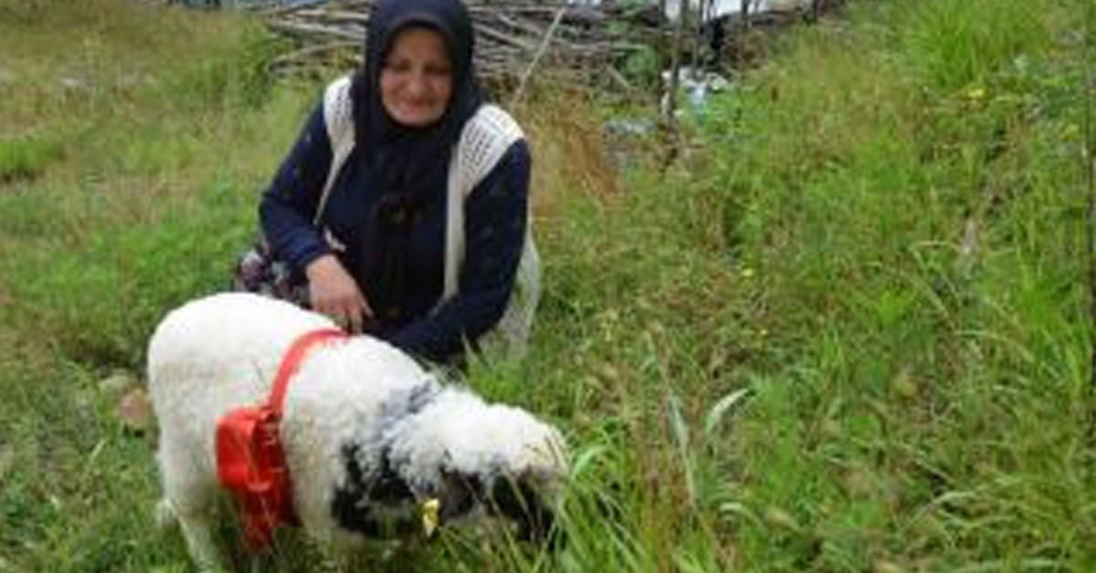 Kuzusu ‘anne’ diye meledi