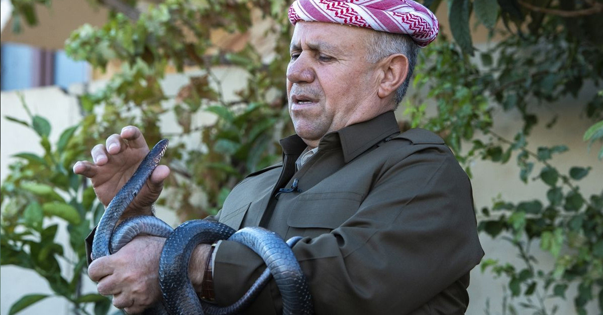 Çiftleşme dönemleri