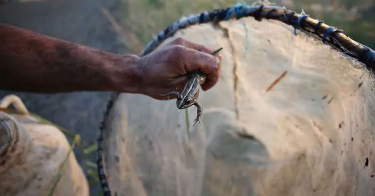 EVİMİ BU İŞ İLE GEÇİNDİRİYORUM