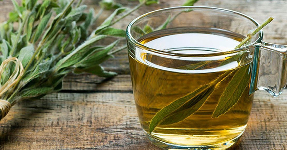 Çam Yaprağı Çayı