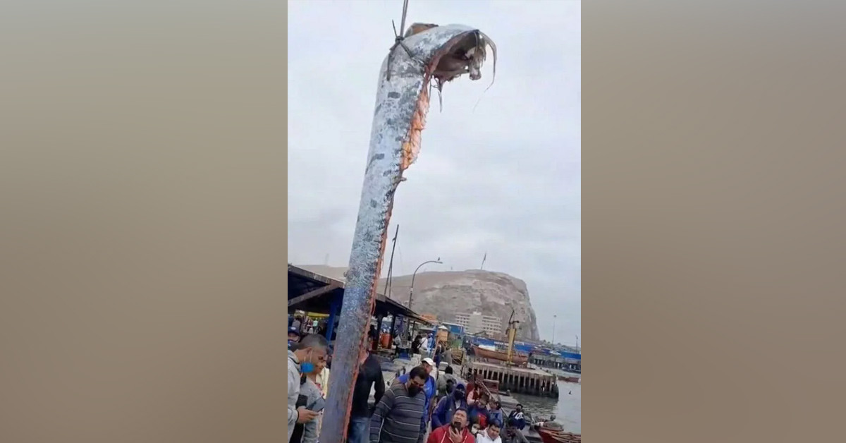 Halk ikiye bölündü