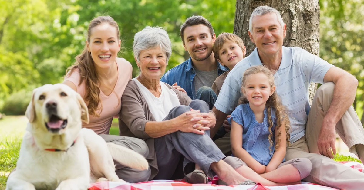 Temel İlişki Türleri