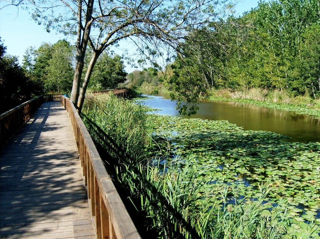 ACARLAR LONGOZU, SAKARYA