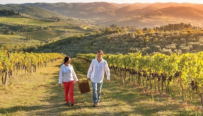 Başak Burcu (23 Ağustos - 22 Eylül): Napa Vadisi