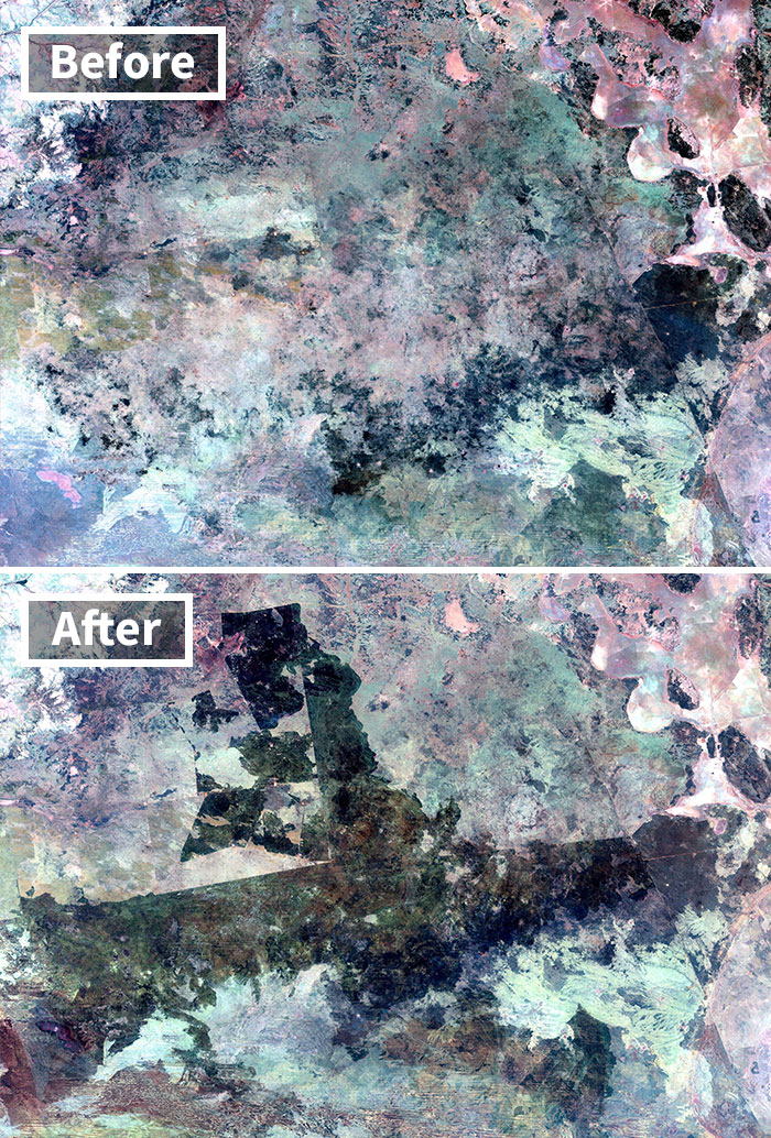 Tanami Çöl Yangınları, Avustralya