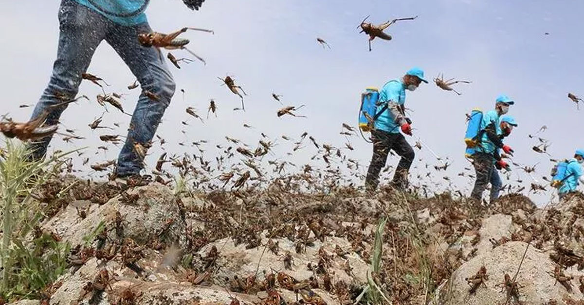 SICAK COĞRAFYALARIN BAŞI DERTTE
