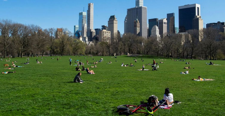 "NEW YORK PARKLARI MEZARLIK OLARAK KULLANILACAK"