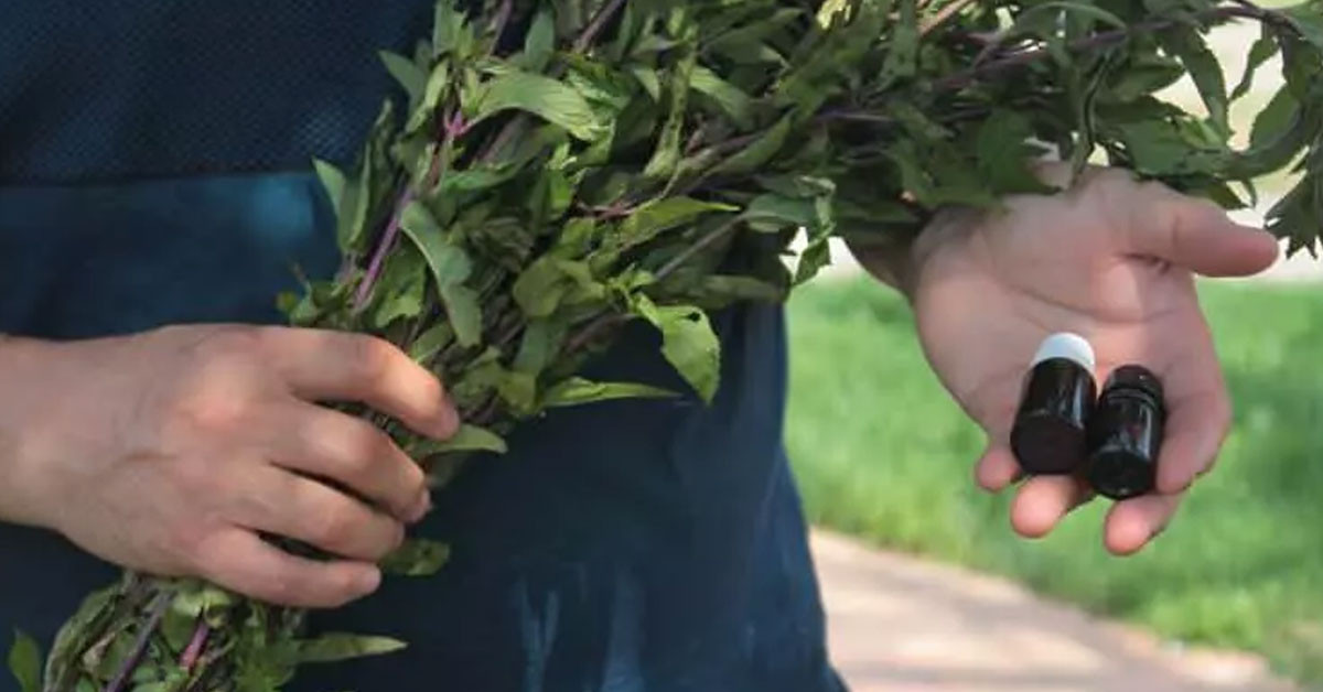 Kendi hastalığım sonrası keşfettim