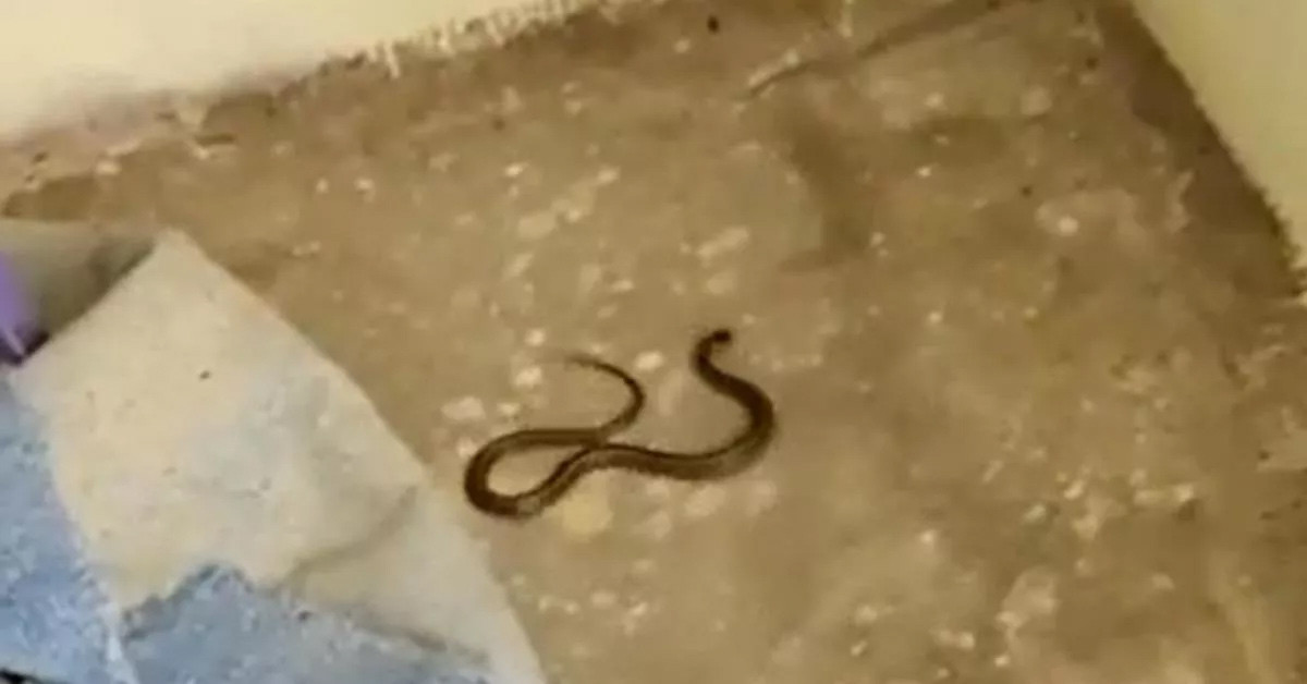 Yetkililere seslendi