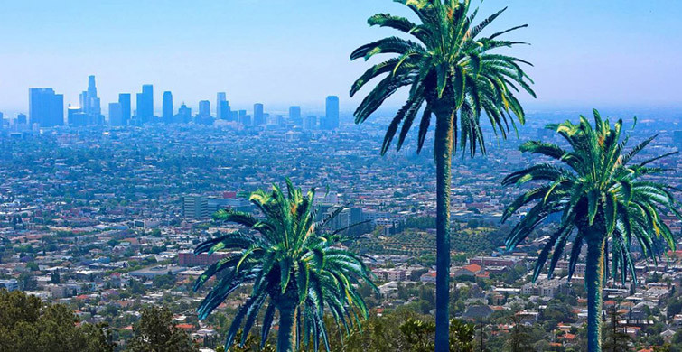 LOS ANGELES KONAKLAMA VE YEME-İÇME