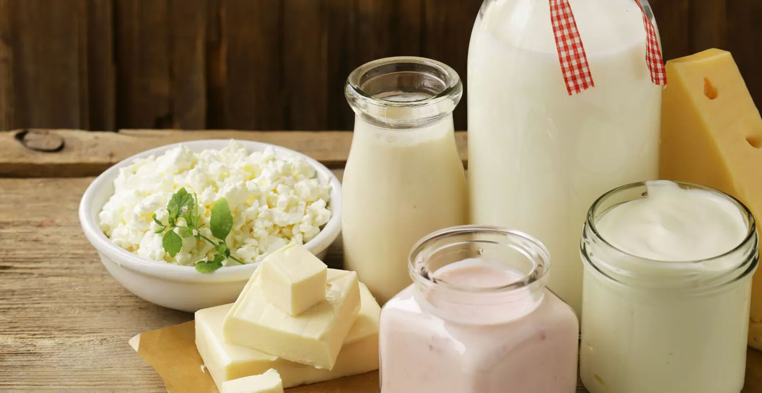 Süt ve Süt Ürünleri