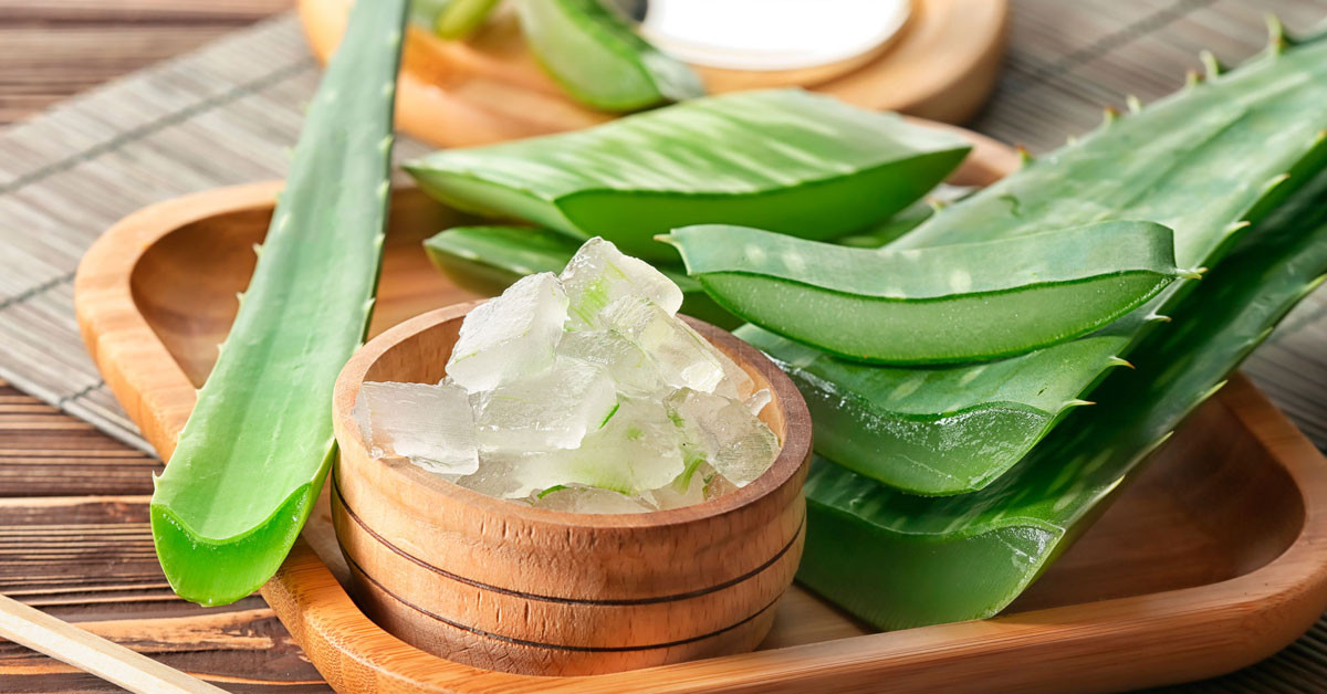 Aloe Vera