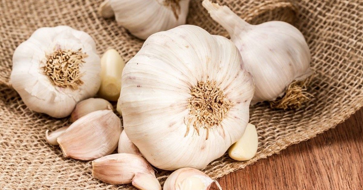 Sarımsak