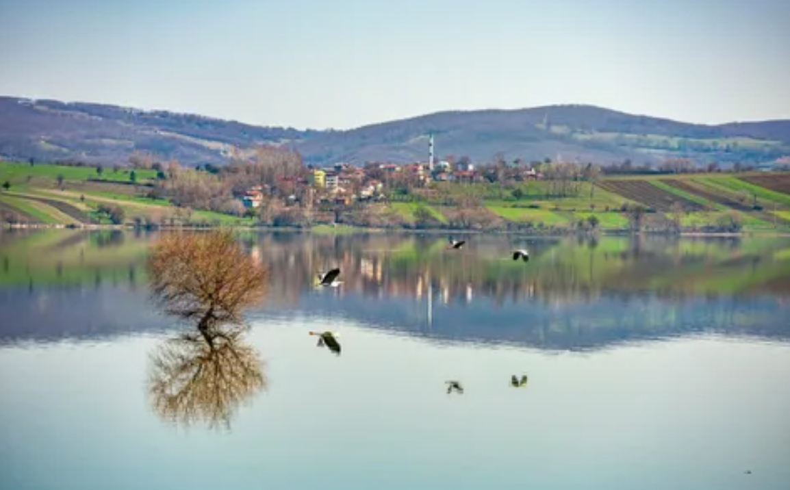 3. LADİK YAYLASI, SAMSUN