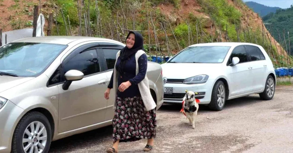 Ailecek şaşkına döndüler