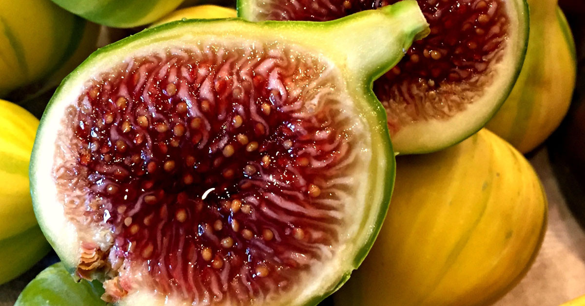  İncir : 4 taneyi aşmayın