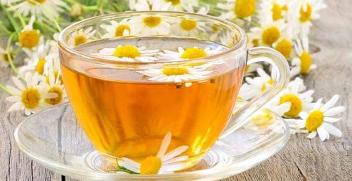 SAKİNLEŞMEK VE UYKUYU DÜZENE SOKMAK İÇİN PAPATYA ÇAYI