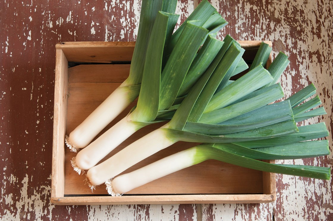 Uykusuzluğa İyi Geliyor 