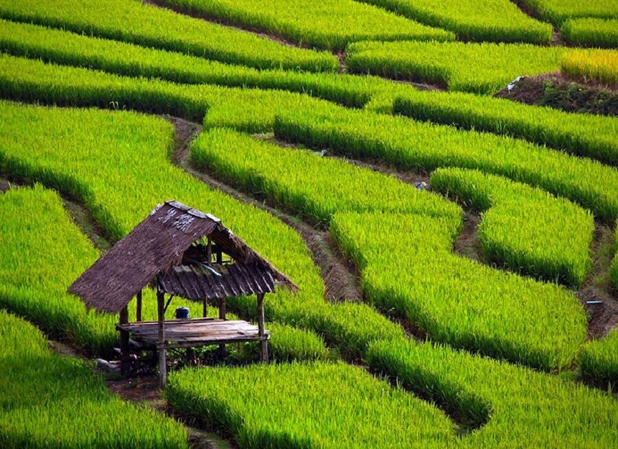 8 Bin Yıllık Tarihe Sahip