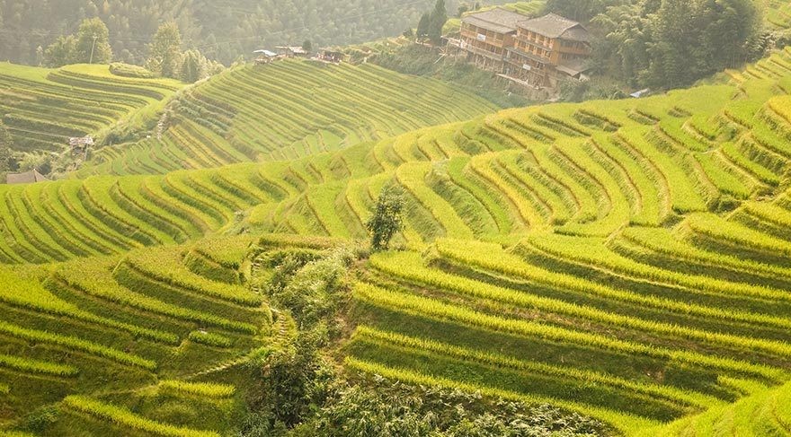 İlk Buluntular Ciangsu'dan... 