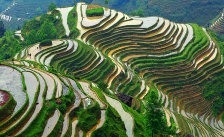 Büyüklüğü 100 Metrekareyi Buluyor