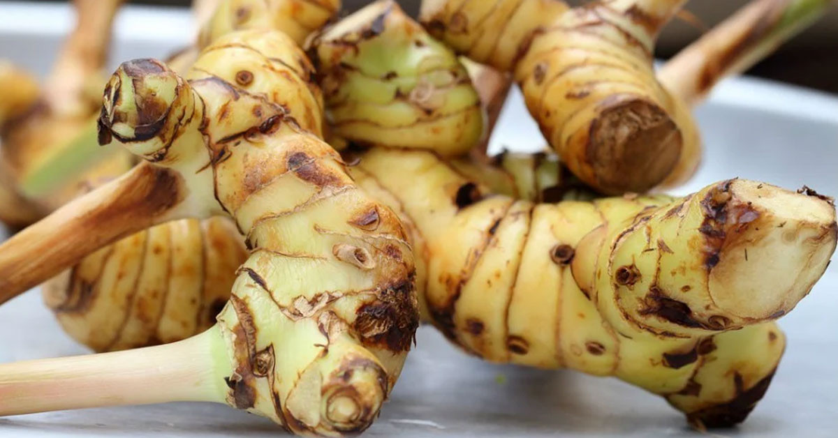 HAVLICANIN CİNSELLİĞE FAYDALARI