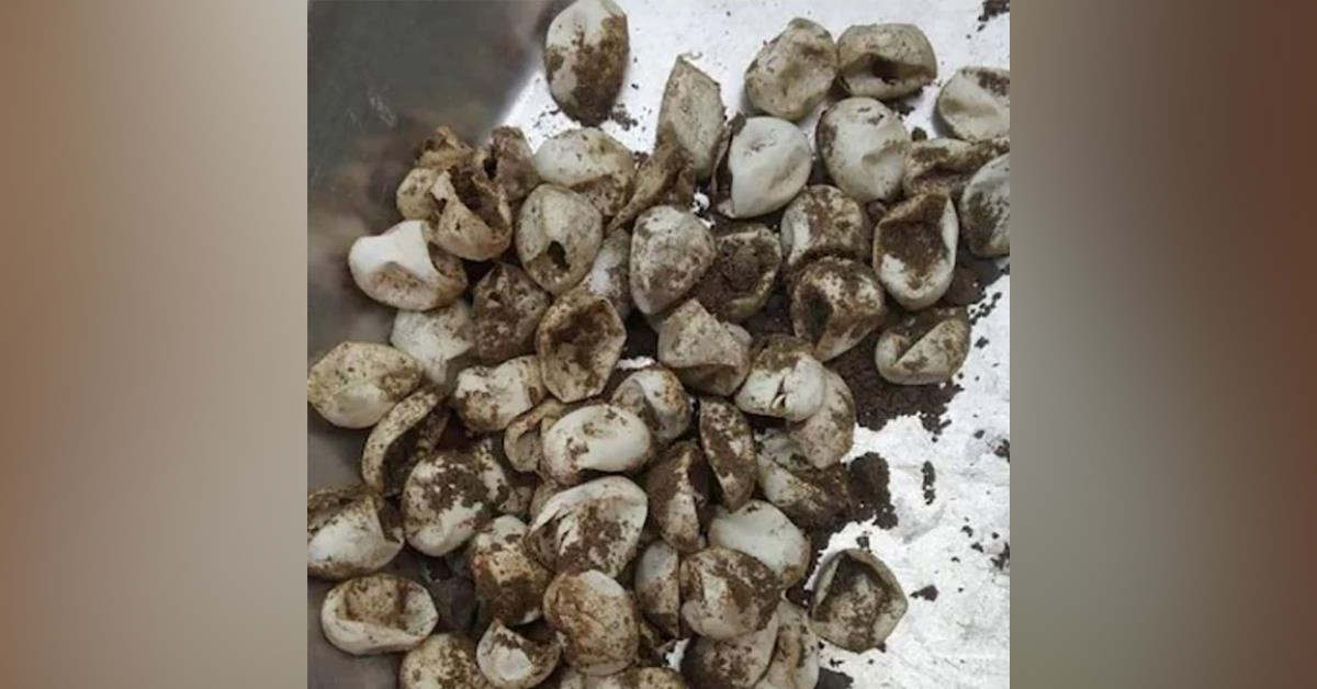 Korkup ekipleri aradı