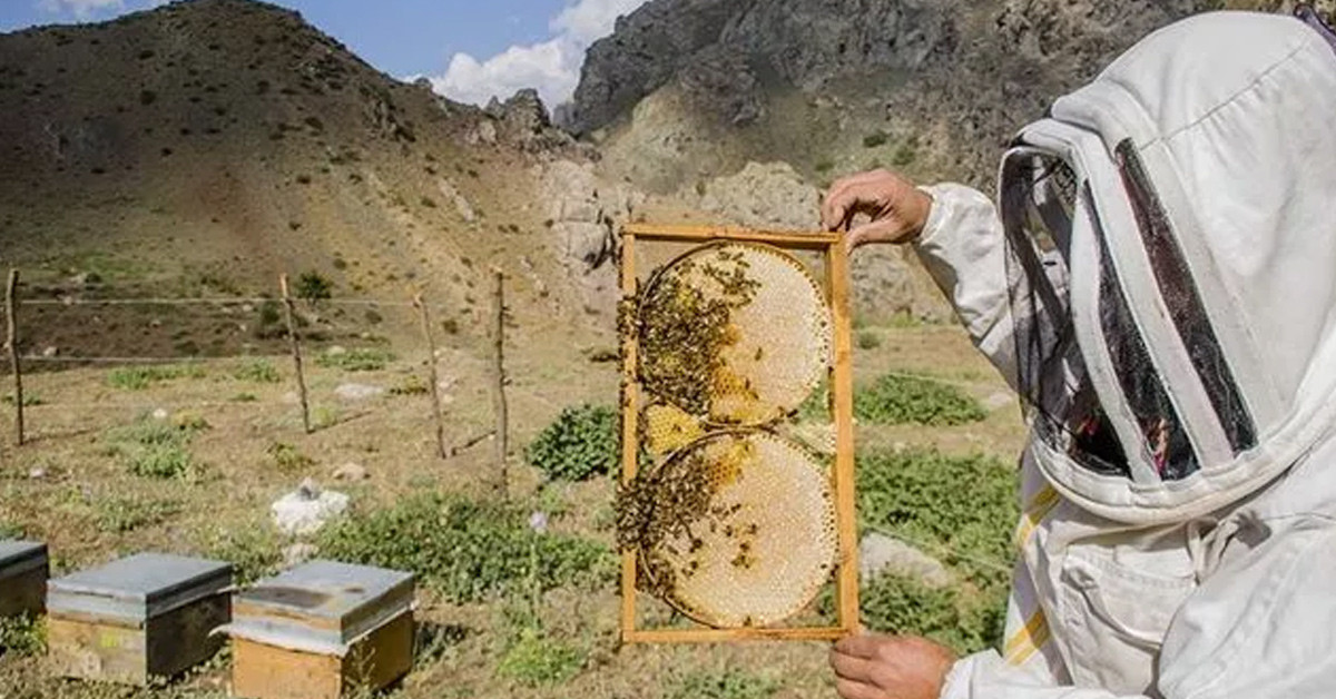 Fiyatlarda yükseliş olacak