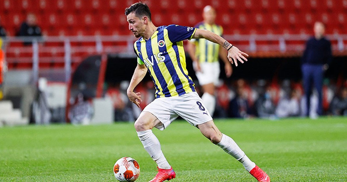 Yakından ilgileniyorlar