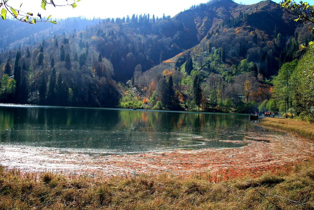 8. KARAGÜL YAYLASI, ARTVİN