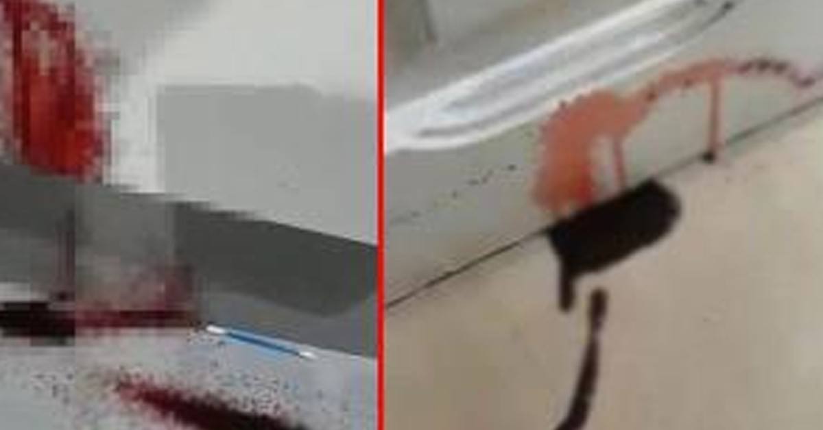 Yetkililer devreye girdi