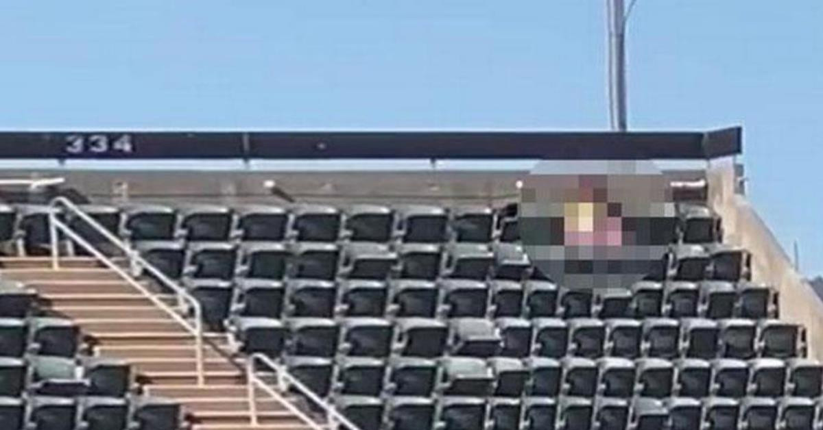 Cinsel ilişkiye girdiler