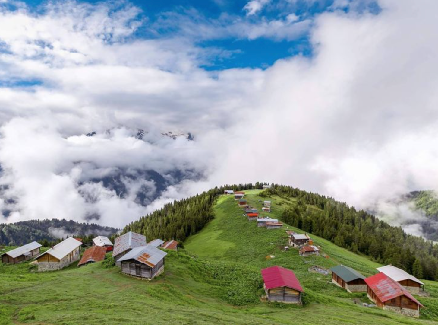 7. POKUT YAYLASI, RİZE