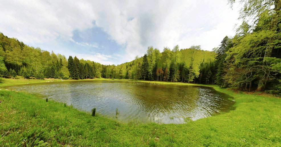 TORKUL GÖLÜ, DÜZCE