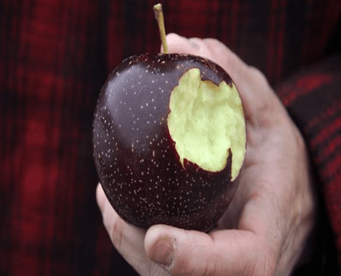 Siyah Elma Rengini Nereden Alır?