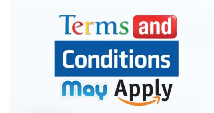 Terms and Conditions May Apply (2013)