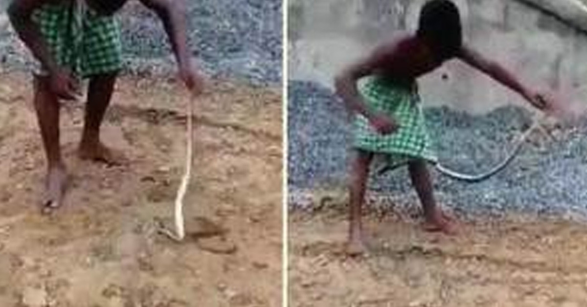 Yılan eteğin altına girdi