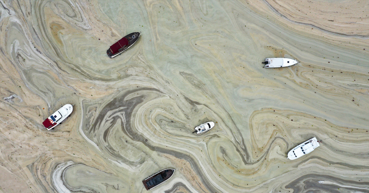 29 Mayıs 2021 Marmara Denizi'ni Müsilaj Tehdidi Kapladı