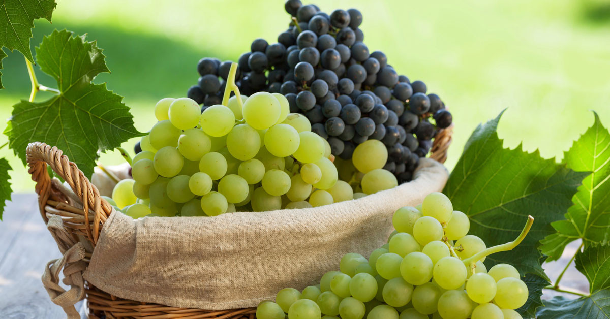 HER DERDE DEVA SÜPER YİYECEK!