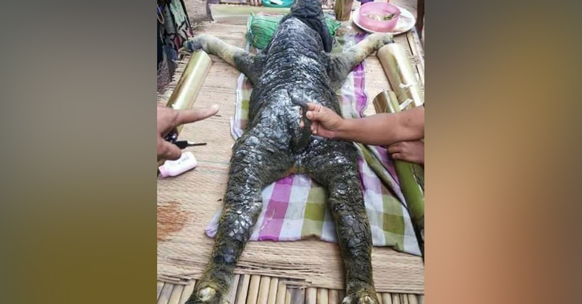 Ekonomik katkı sağlıyor