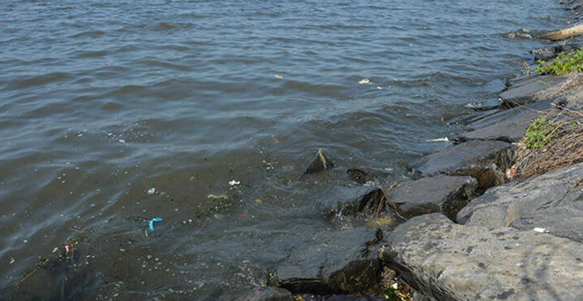 "ARAŞTIRILMASI LAZIM, RAHATSIZIZ" 