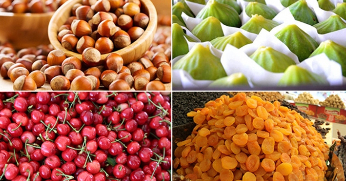 Fındık Kiraz Kayısı İncir Üretimi!