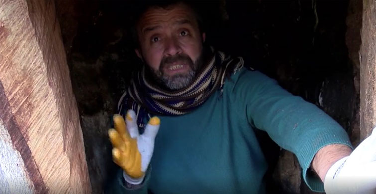 KENDİSİNİ AĞAÇKAKAN ZANNEDİYOR