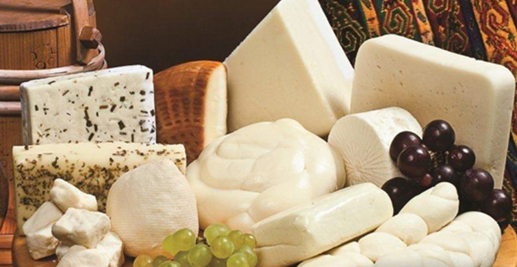 Süt ve Süt Ürünleri