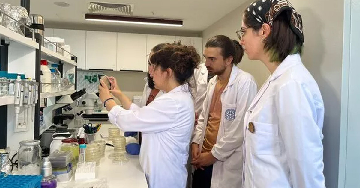 DR. Işıl Tulum açıkladı