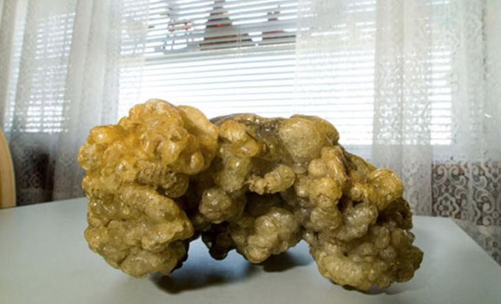 SERTİFİKA VERİLDİ!