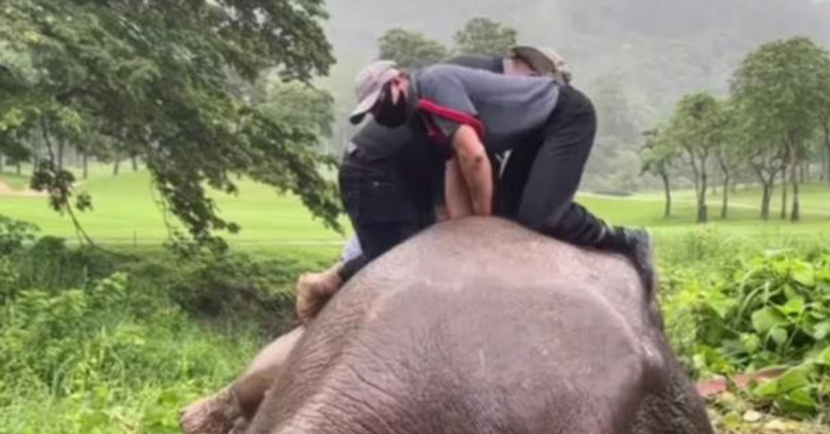 Filin hareketleri dikkat çekti