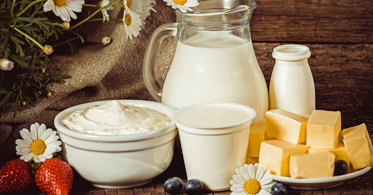 Az Yağlı Süt Ürünleri