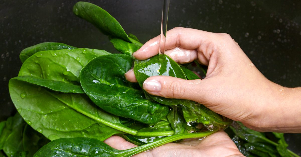 Ispanak zehirlenmesi nasıl önlenir?