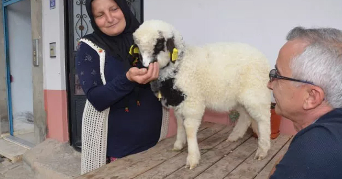 Boncuk adını verdi 